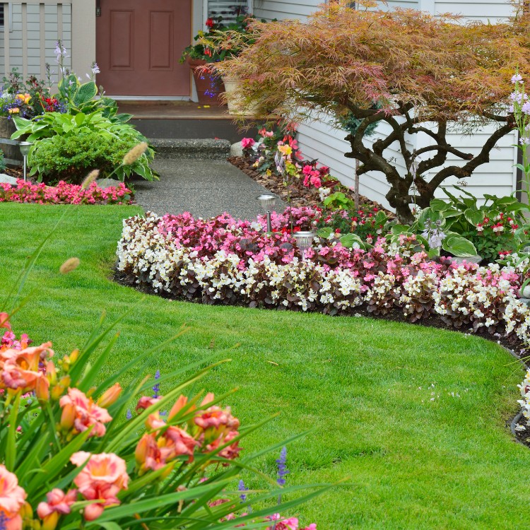 Landscaping in Vacaville, CA