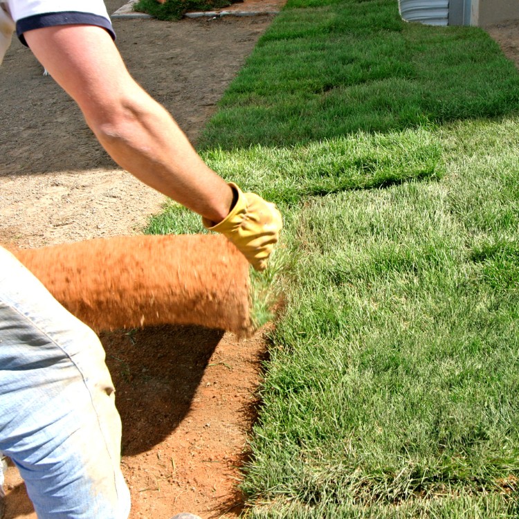 Landscaping in Vacaville, CA