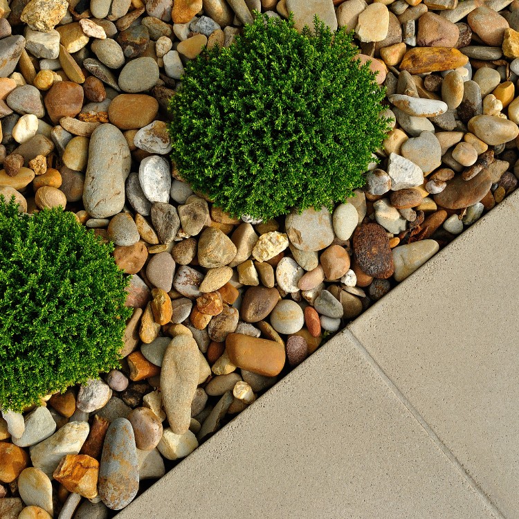 Landscaping in Vacaville, CA