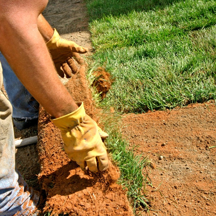 Landscaping in Vacaville, CA