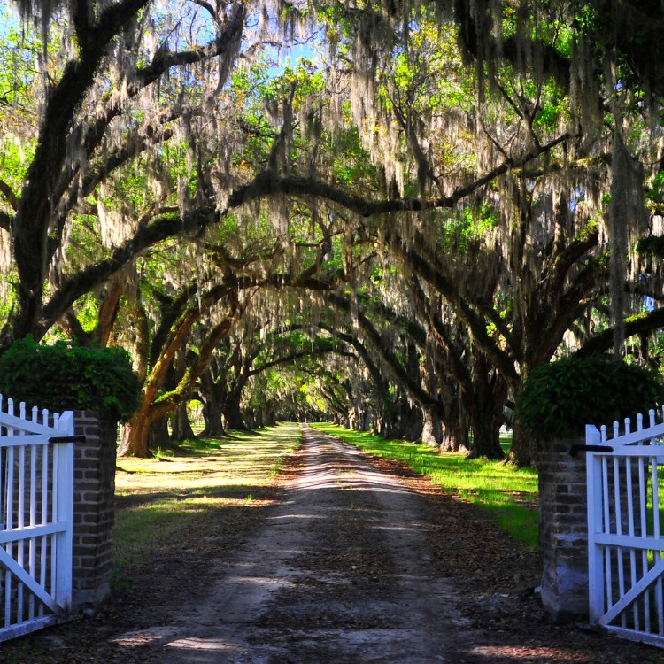 Landscaping in Vacaville, CA