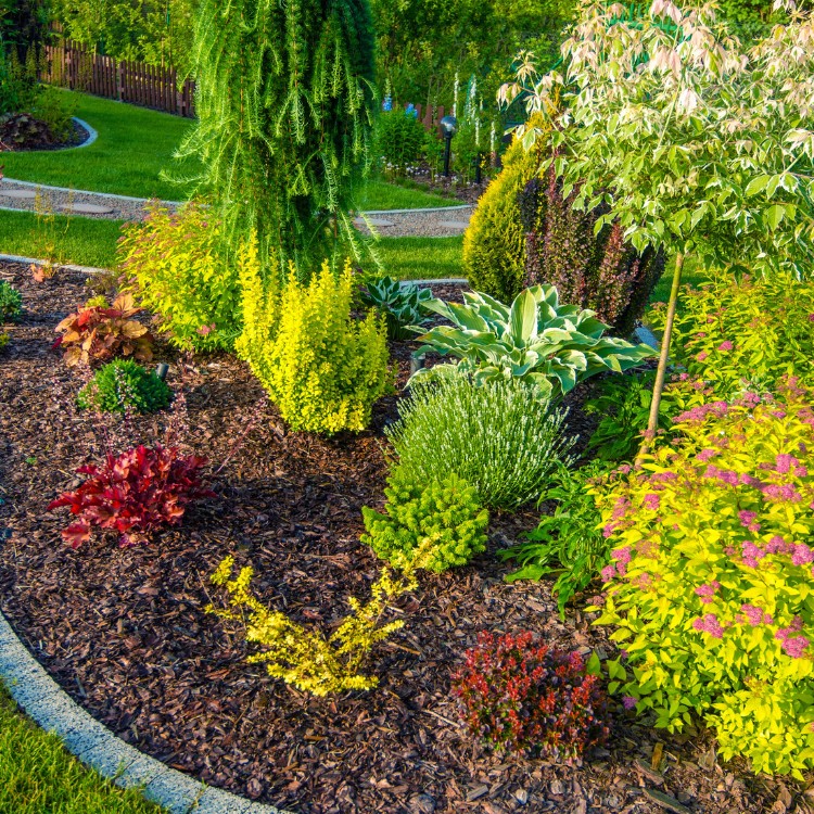 Landscaping in Vacaville, CA