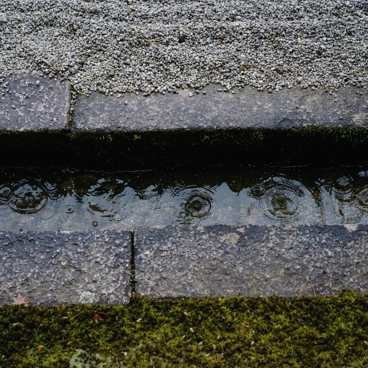 Landscaping in Vacaville, CA