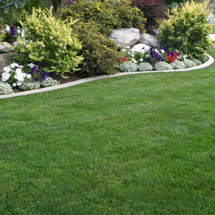 Landscaping in Vacaville, CA